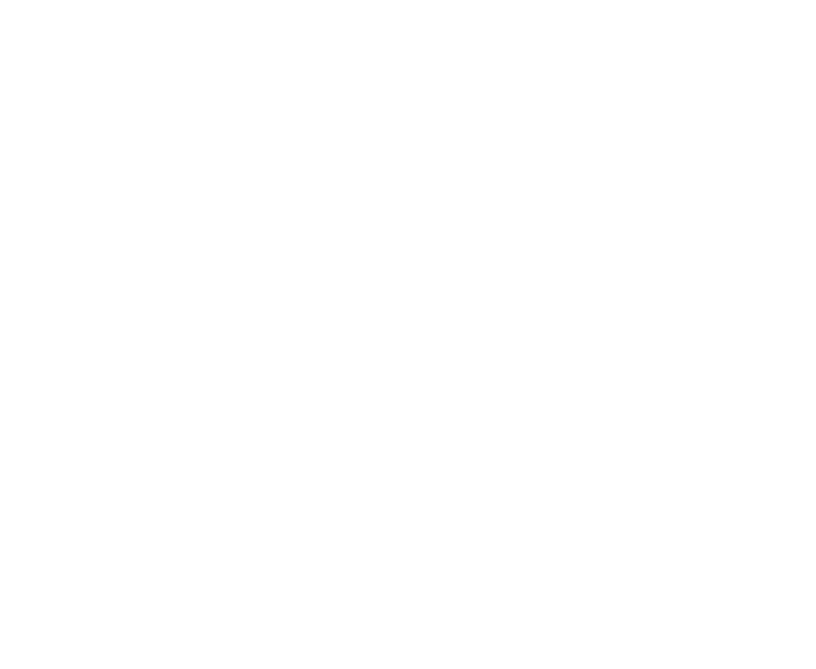 VFX Company based in japan